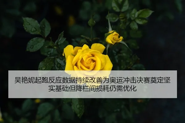 吴艳妮起跑反应数据持续改善为奥运冲击决赛奠定坚实基础但降栏间损耗仍需优化
