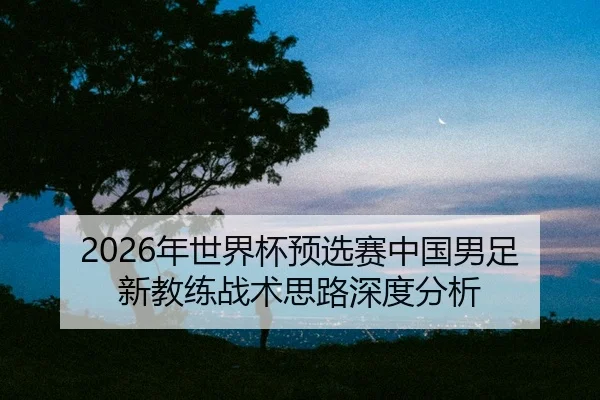 nian-shi-jie-bei-yu-xuan-sai-zhong-guo-nan-zu-xin-jiao-lian-zhan-shu-si-lu-shen-du-fen-xi-2-677.jpg
